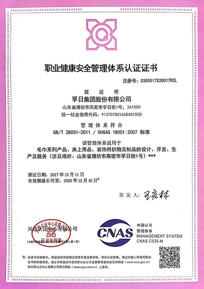 職業(yè)健康安全管理體系認證證書